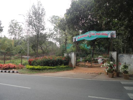 TTD Gardens